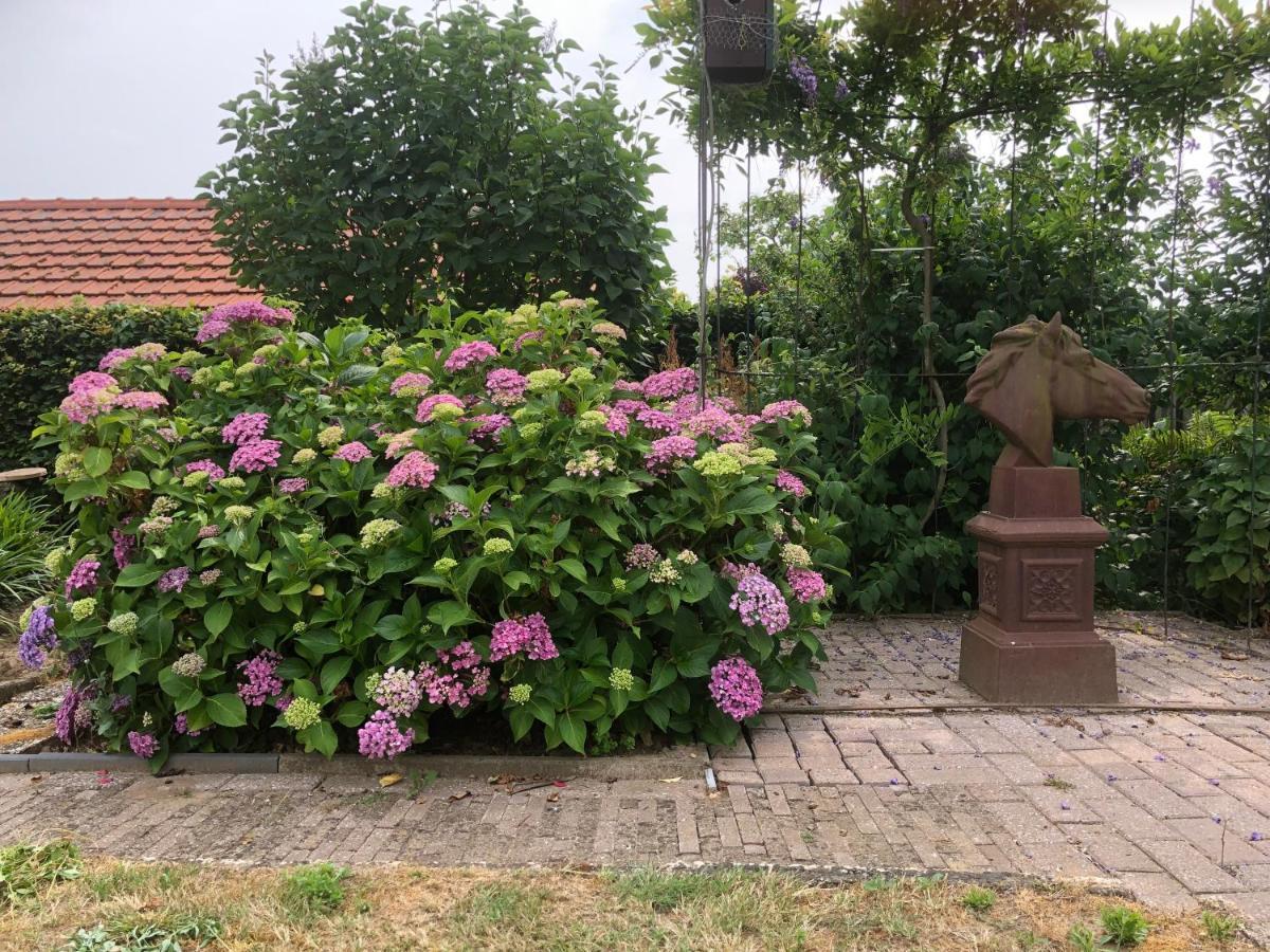 Laaker Villa Nearby Outlet Roermond 에엔라크 외부 사진