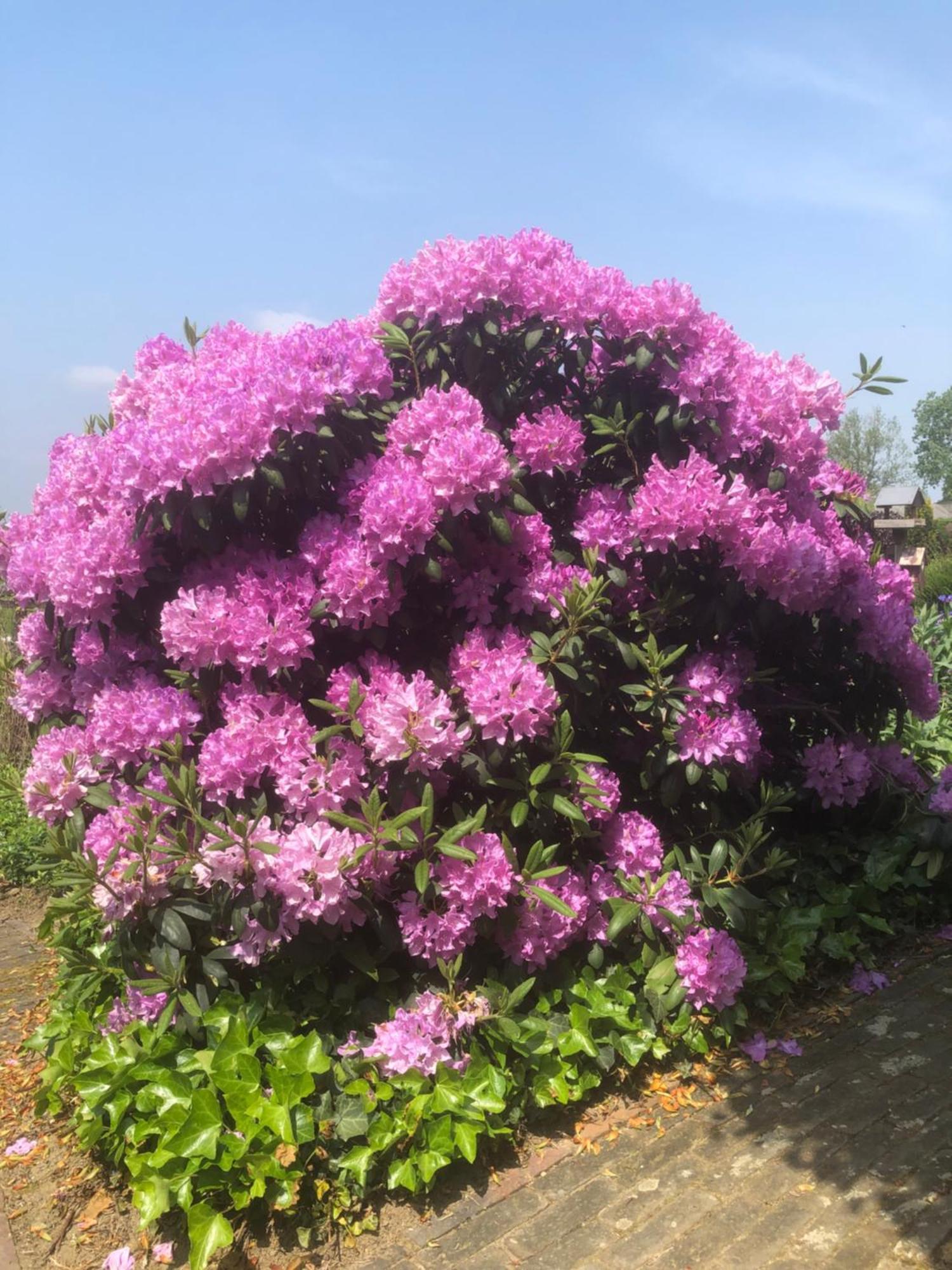 Laaker Villa Nearby Outlet Roermond 에엔라크 외부 사진