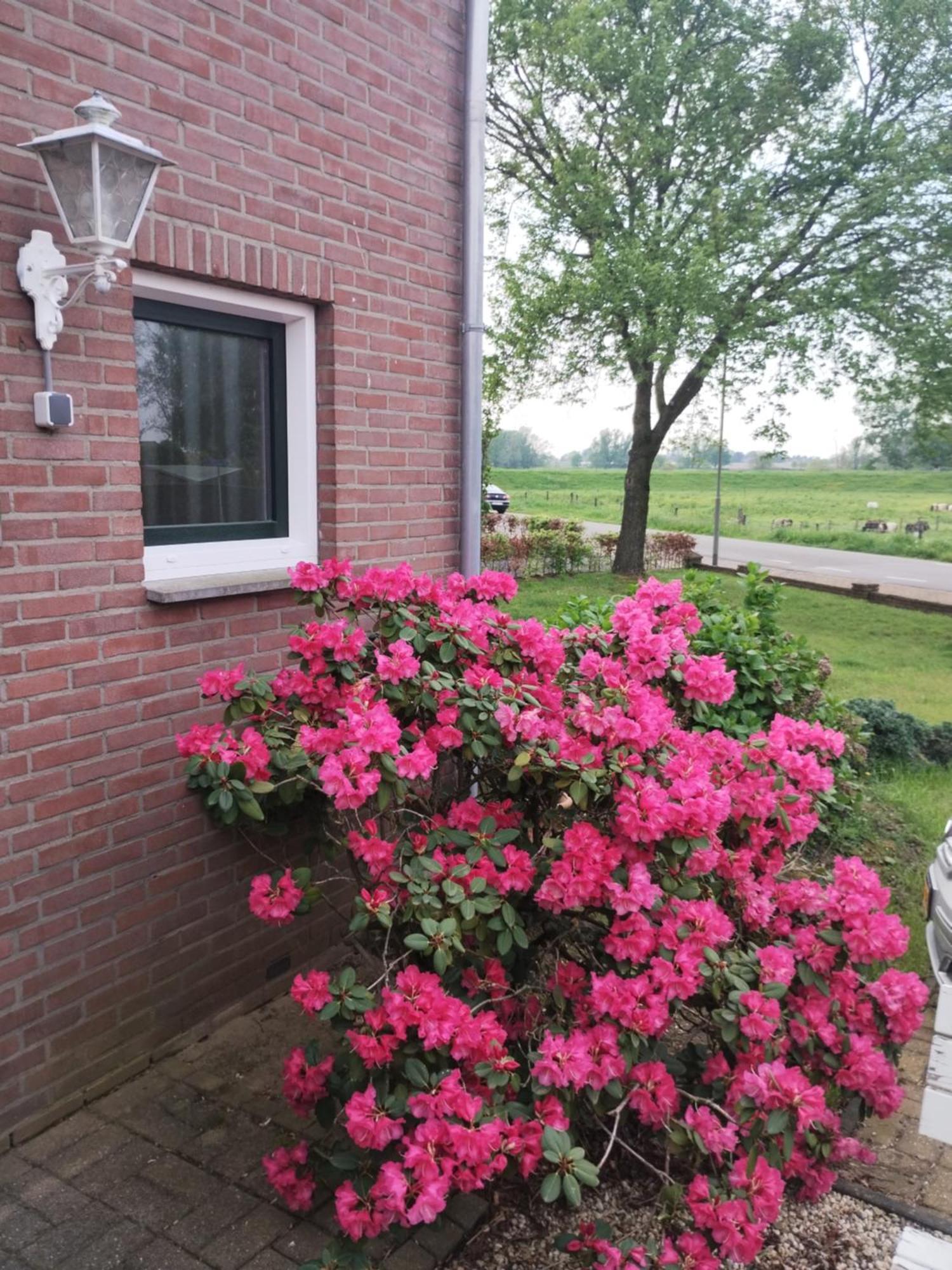 Laaker Villa Nearby Outlet Roermond 에엔라크 외부 사진